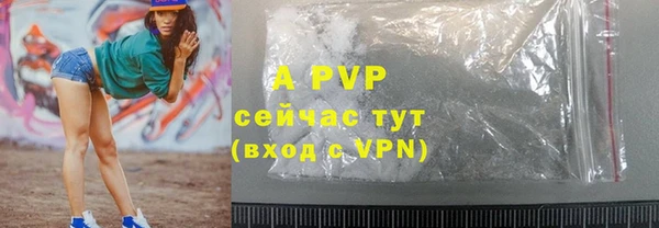индика Алексин