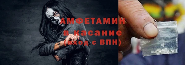 индика Алексин