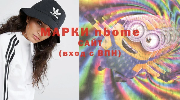 индика Алексин