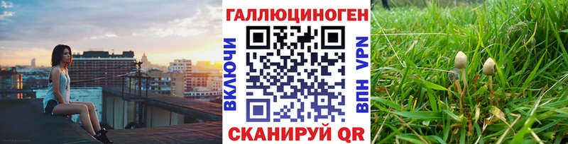 Псилоцибиновые грибы GOLDEN TEACHER  Ангарск 
